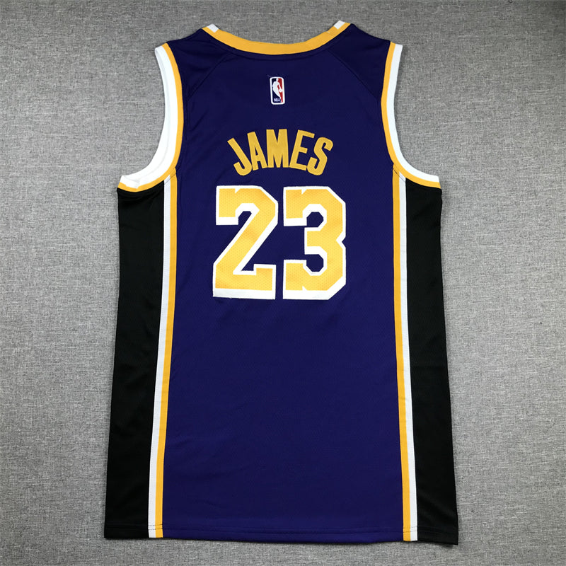 Men's Los Angeles Lakers LeBron James #23 NBA Purple Swingman Jerseys