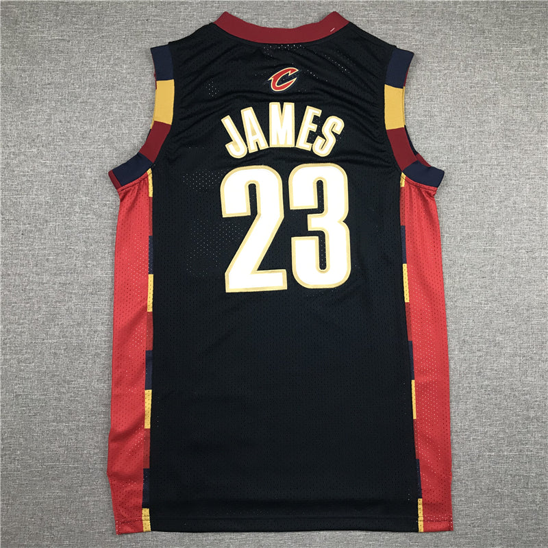 Men's Cleveland Cavaliers LeBron James 2008-09 Hardwood Classics Swingman Jerseys