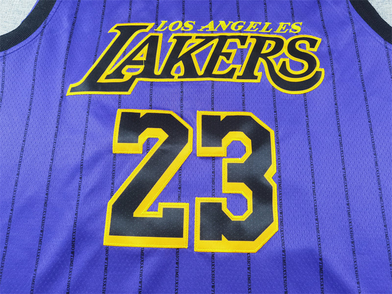 Men's Los Angeles Lakers LeBron James #23 Purple Swingman Jerseys - City Edition