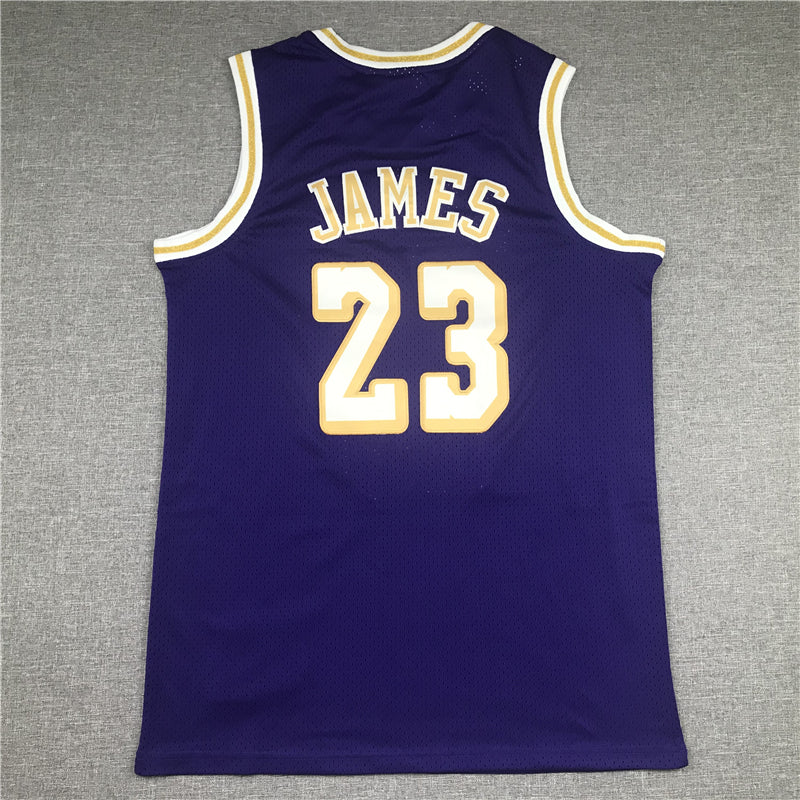 Men's Los Angeles Lakers LeBron James Purple Hardwood Classics Swingman Jerseys