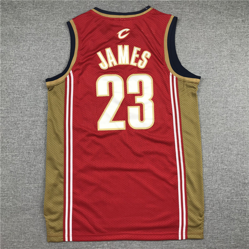 Men's Cleveland Cavaliers LeBron James 2003-04 Hardwood Classics Swingman Jerseys