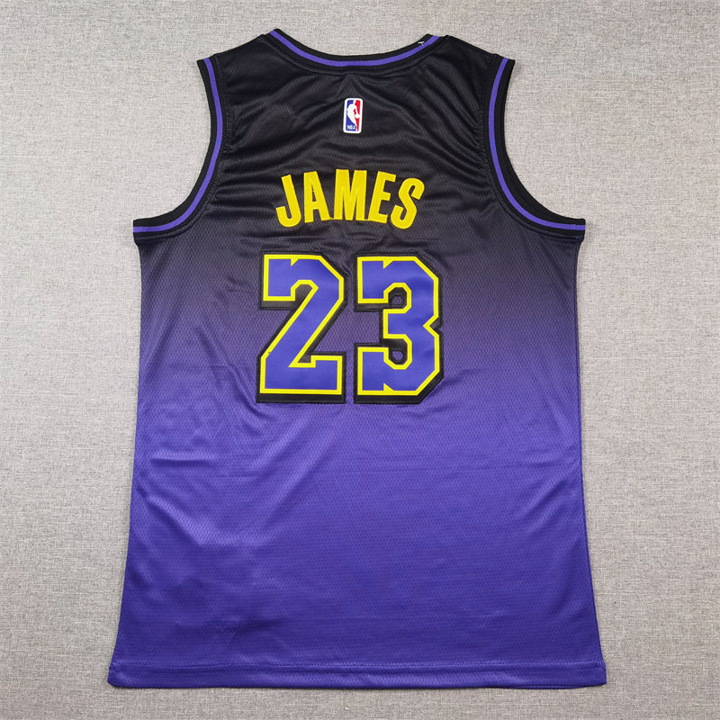 Men's Los Angeles Lakers LeBron James #23 Purple 2024/25 Swingman Jerseys - City Edition