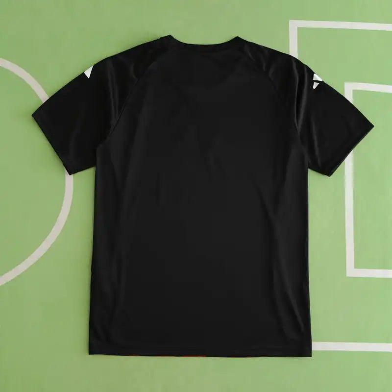 Germany National Team UEFA Training Fan Version 24/25 Season Jersey