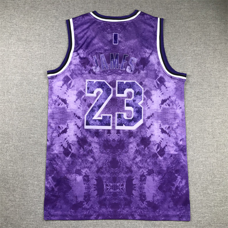 Men's Los Angeles Lakers LeBron James #23 Purple Select Series Swingman Jerseys