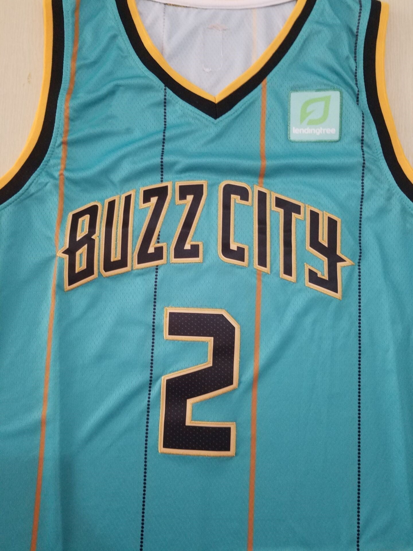 Men's Charlotte Hornets LaMelo Ball Green 2020-21 swingman Jerseys