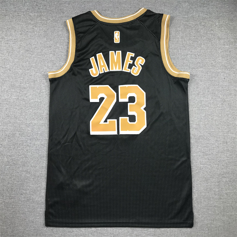Men's Los Angeles Lakers LeBron James #23 Black Select Series Swingman Jerseys