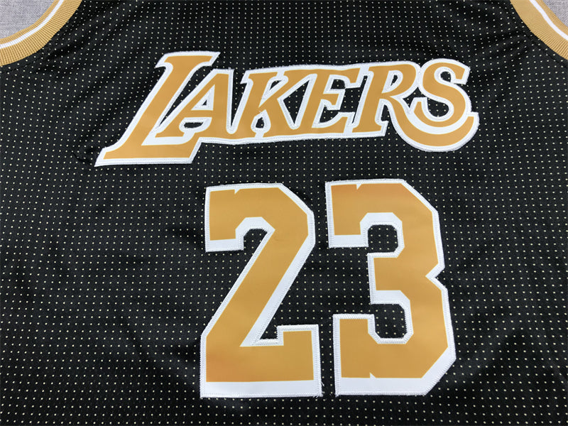 Men's Los Angeles Lakers LeBron James #23 Black Select Series Swingman Jerseys