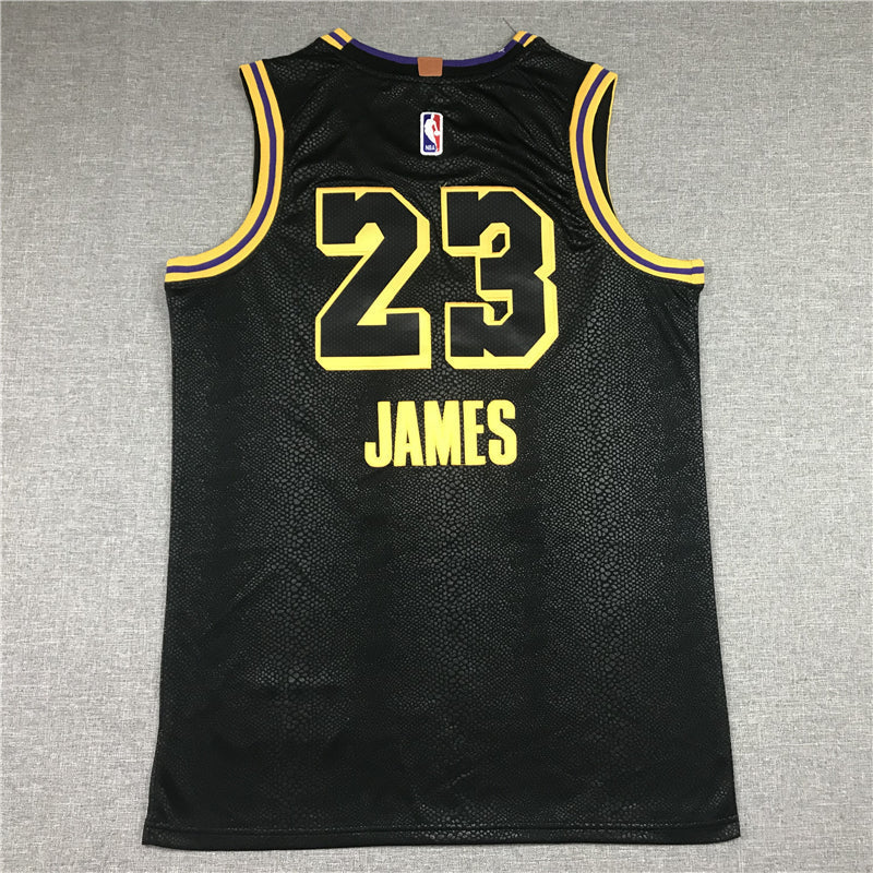 Men's Los Angeles Lakers Lebron James #23 Final Path Jerseys Stitched