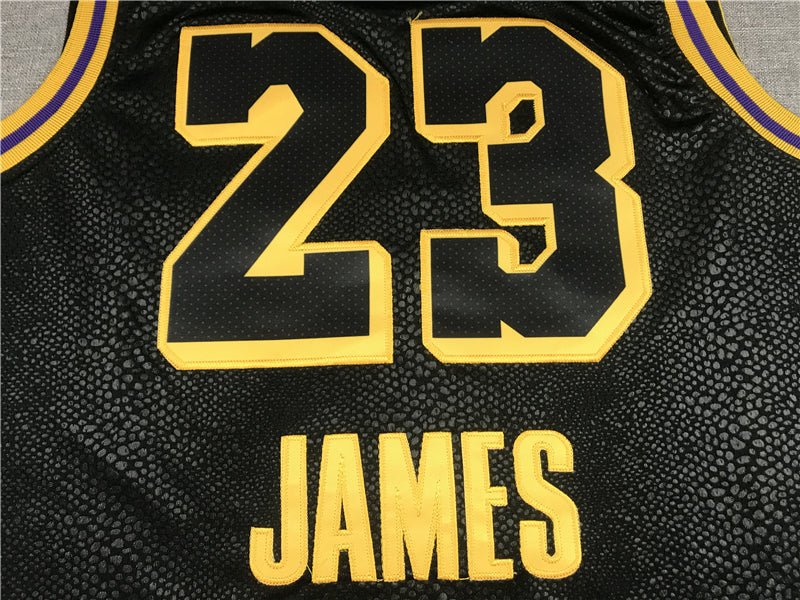 Men's Los Angeles Lakers Lebron James #23 Final Path Jerseys Stitched