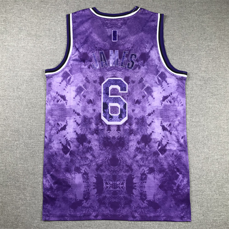Men's Los Angeles Lakers LeBron James #6 Purple Select Series Swingman Jerseys