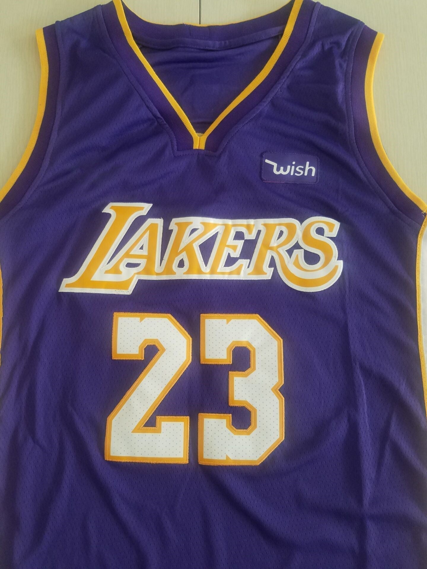 Men's Los Angeles Lakers LeBron James NBA #23 Purple Swingman Jerseys - City Edition