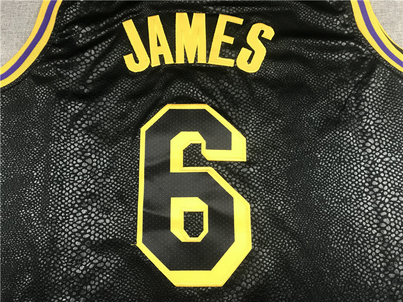 Men's Los Angeles Lakers LeBron James #6 NBA Black Jerseys