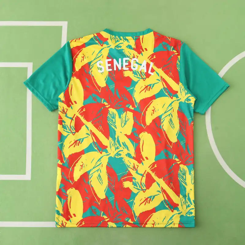 Senegal National Team Training Clothes Fan Version 25/26 Season Jersey