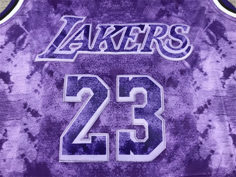 Men's Los Angeles Lakers LeBron James #23 Purple Select Series Swingman Jerseys