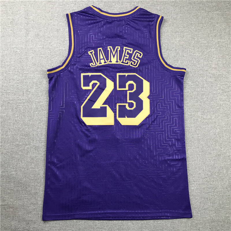 Men's Los Angeles Lakers LeBron James 2018-19 Hardwood Classics Swingman Jerseys