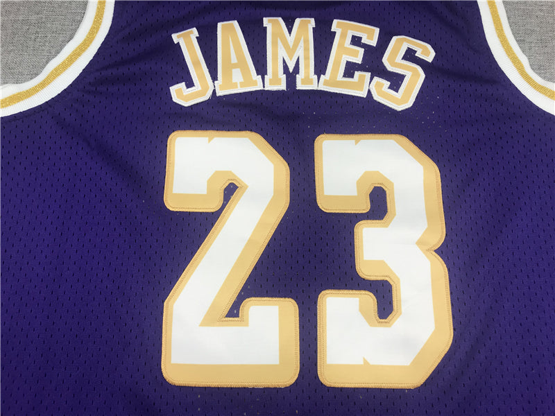 Men's Los Angeles Lakers LeBron James Purple Hardwood Classics Swingman Jerseys