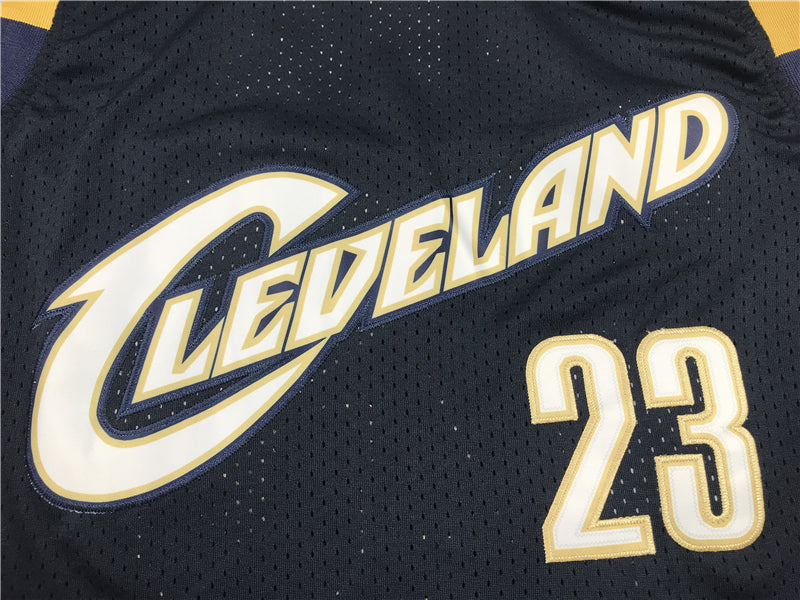 Men's Cleveland Cavaliers LeBron James 2008-09 Hardwood Classics Swingman Jerseys