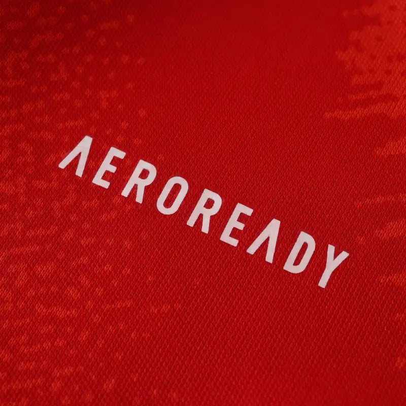 Spain UEFA Home 24/25 Season Jersey