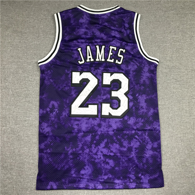 Men's Los Angeles Lakers LeBron James #23 Purple Galaxy Swingman Jerseys